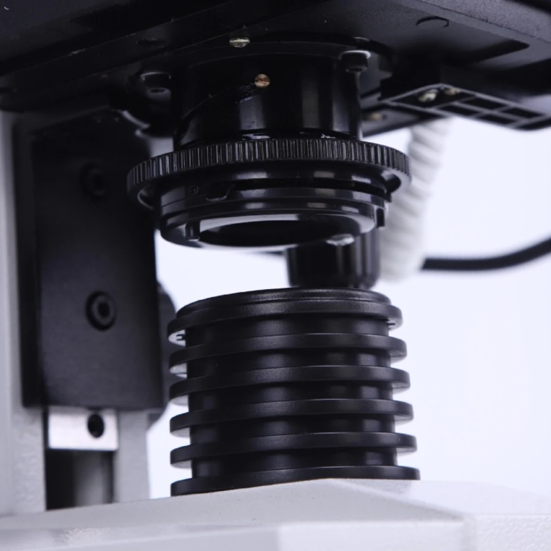 XDT300 Student Binocular Biological Microscope for School