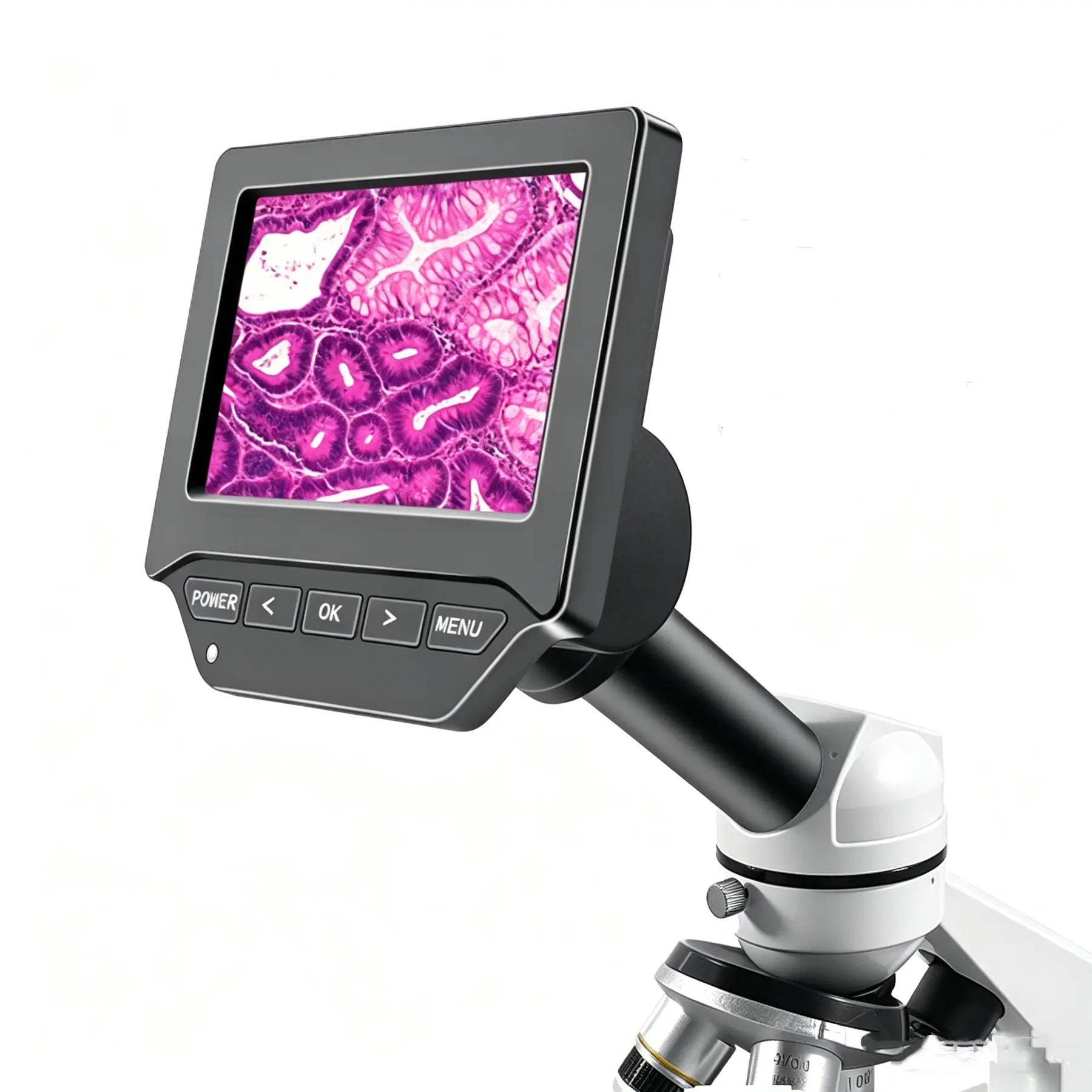 DT300 5” Microscope LCD Display Screen for Biology, Bacteriology