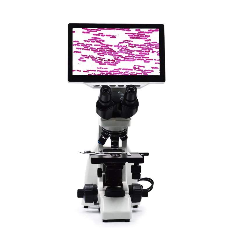 LCD800 Digital LCD Biological Microscope for Lab and School