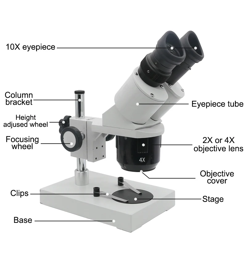 XT5A 20X and 40X Stereo Microscope for Soldering and Mobile Phone Repair