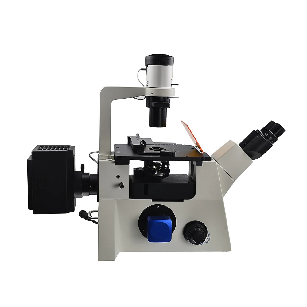 XIF200 Inverted Research Fluorescence Microscope for Living Cells Tissues