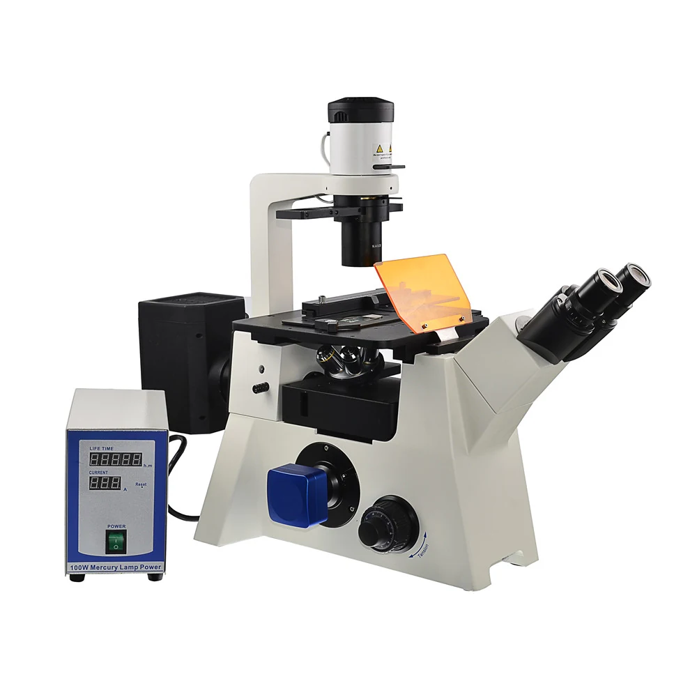 XIF200 Inverted Research Fluorescence Microscope for Living Cells Tissues