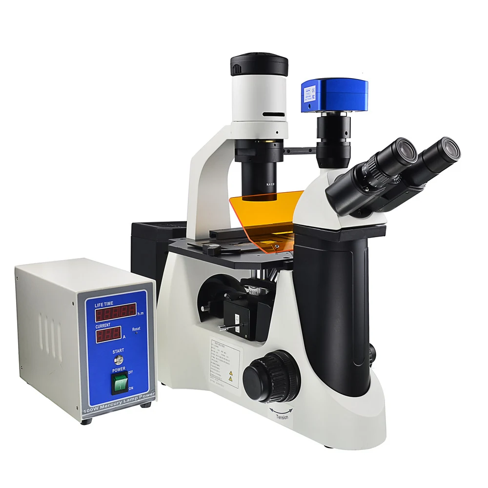 XIF100 Inverted Research Fluorescence Microscope for Living Cells Tissues