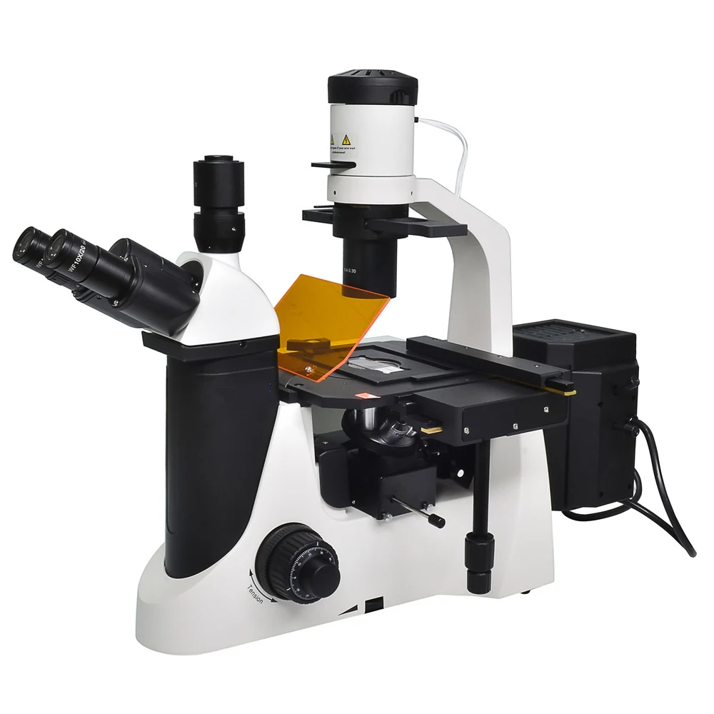 XIF100 Inverted Research Fluorescence Microscope for Living Cells Tissues