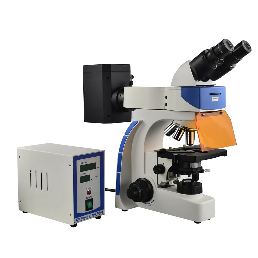 XUF100 Upright Research Fluorescence Microscope for Living Cells Tissues