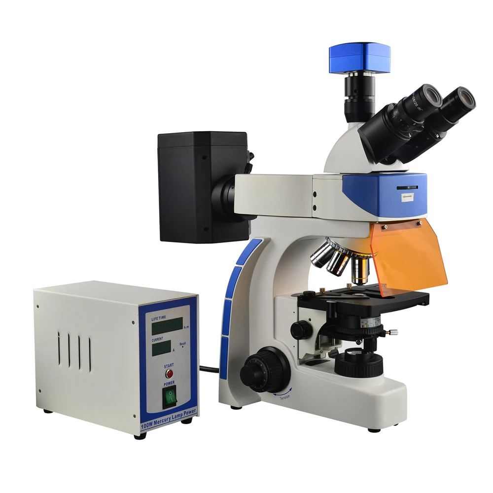 XUF100 Upright Research Fluorescence Microscope for Living Cells Tissues