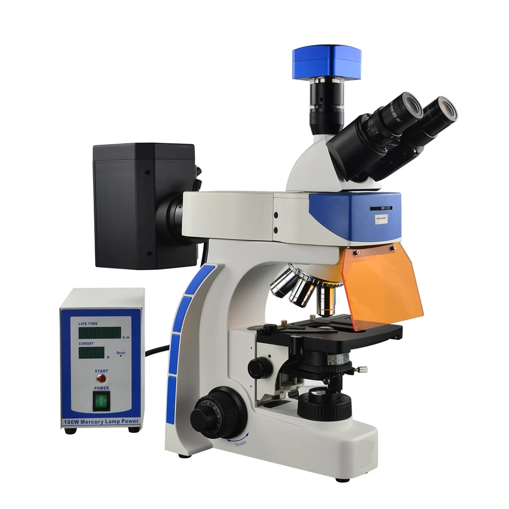 XUF100 Upright Research Fluorescence Microscope for Living Cells Tissues