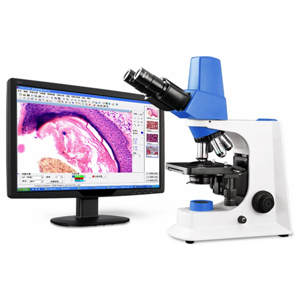 XAB600 Biological Digital Lab Microscope for Specimen Observation